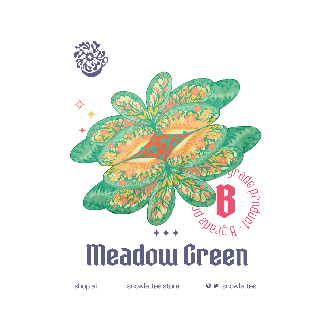 【B-Grade 】 Flutterby Head Scarves